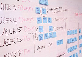 Web and Mobile App Developement